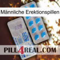 Männliche Erektionspillen new15